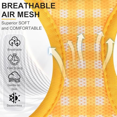 AIITLE No Pull Dog Harness and Leash Set, Step in No Chock Soft Mesh Dog Harnesses Reflective for Extra-Small Puppy Dogs a...