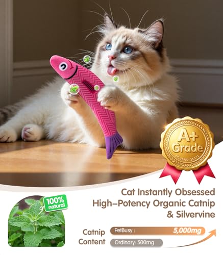 PetBusy Cat Toys with[5000mg A+Natural Catnip &Silvervine] [Baby Grade] Interactive Soft Chew Kicker Cat Toys for Indoor C...