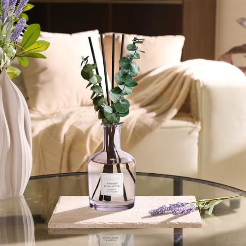 COCORRÍNA Lavender Eucalyptus Reed Diffuser – 6.76 oz Essential Oil with 8 Reeds & Real Eucalyptus Sticks, Home Fragrance ...