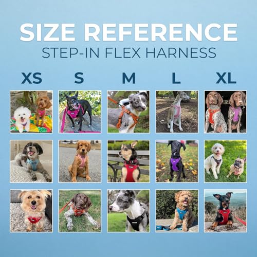 Best Pet Supplies Voyager Adjustable Step-in Flex Breathable Mesh Dog Harness for Small Medium Large Dogs (Black), M