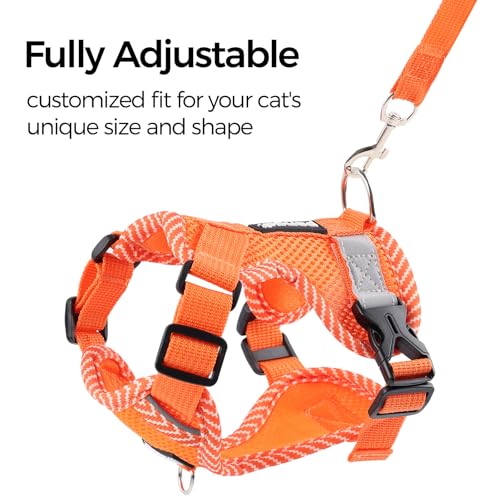 pangdi Cat Harness and Leash Escape Proof Large Kitten Harness Ragdoll Cat Vest for Walking Travel, Orange, L