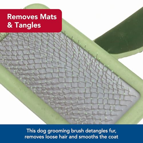 Coastal Pet Safari Dog Soft Slicker Brush - Dog Grooming Brush for Shedding - for Dogs with Short, Medium and Long Hair - ...