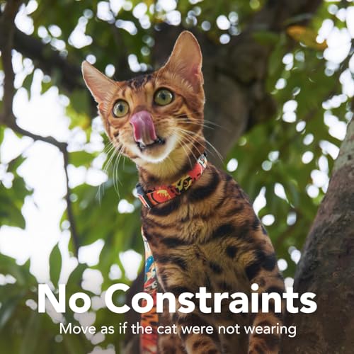 Cat Harness and Leash Set - Escape Proof Adjustable Cat Harness, Comfortable Soft Lightweight, Use Safe & Easy, Walking Tr...