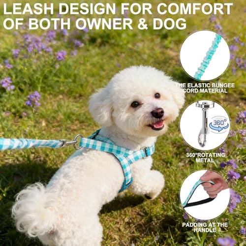 EXPAWLORER No Pull Small Dog Harness and Leash Set, Adjustable Soft Breathable Mesh Puppy Vest with Padded, Quick Fit Esca...