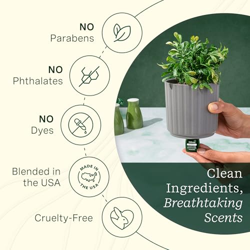ClickWick Essential Oil Blends for Lifelines Diffusers, 3-Pack Walk in The Woods Set - Essential Oil Blend Refill for Cand...