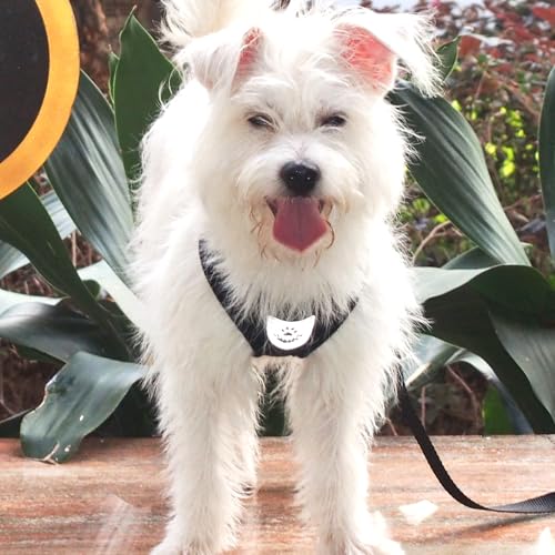 Hypeety Pet Dog Vest Harnesses Puppy Cotton Polyester Adjustable Dog Mesh Harness Travel Chest Strap Vest Reflective (S, B...
