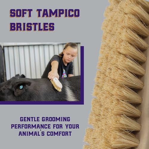 Weaver Livestock Tampico Pig Brush, Plastic Grooming Brush for Dirt Removal, Soft Bristle Tampico Brush for Smooth Hair, D...