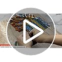 PINOWU Ethnic Style Drawstring Gift Bag 5x7 Cotton Reusable Pouches (12pcs) Jewelry Coin Storage Pouch Eco-Friendly Sachet...