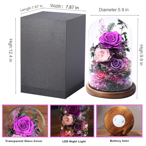 lovenfold Flowers for Delivery Preserved Flowers Rose in Glass Dome,Purple Rose Forever Flowers Birthday Gifts for Women M...
