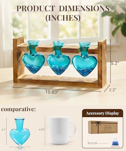 Nacome Plant Terrarium Propagation Stations: Mothers Day Gifts for Mom Plant Lovers Women Wife Daughter - 3 Bulb Glass Vas...