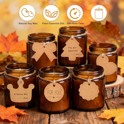 Home Scented Candles Gift Set, 6 Pack Aromatherapy Candles for Women, Non Toxic Soy Wax Candles for Relaxing Stress Relie...
