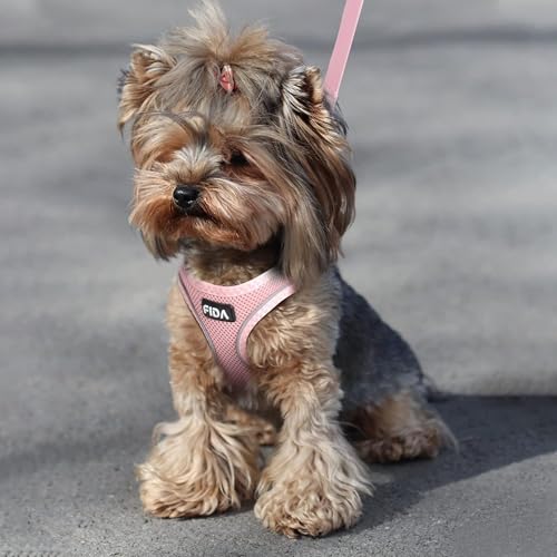 Fida Cat Harness and Leash Set for Walking Kitten and Puppy, Escape Proof Kitten Harness with Breathable Lightweight Soft ...