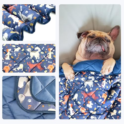 wegreeco Pet Dog Cooling Mat for Cats,Lightweight Bed Outdoor Cooling Blanket for Dogs and Cats,Small Medium Large Puppy C...