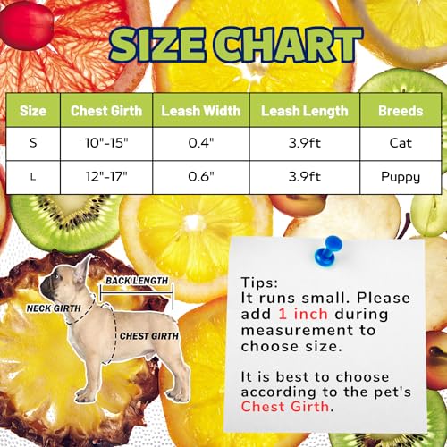 Harikaji Pet Harness with Leash, Fruit Style Dog Harness Pull On Adjustable Lightweight Cat Harness Leash Set for Cat Pupp...