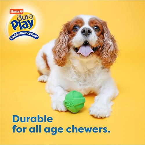 Hartz DuraPlay Bacon Scented Dog Toys, Small (Assorted Color)
