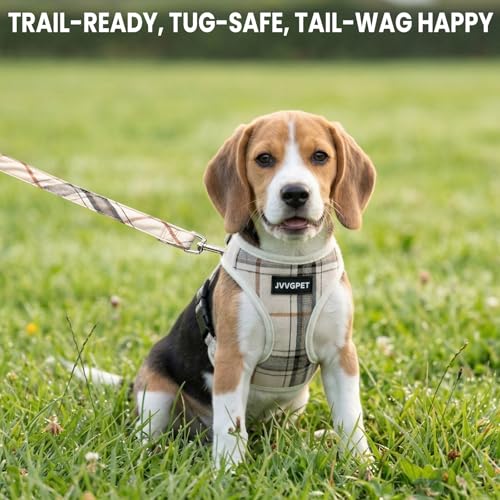 JVVGPET Dog Harness for Small Dogs - Plaid No Pull Dog Vest Harness and Leash Set - Step in Reflective Adjustable Soft Mes...