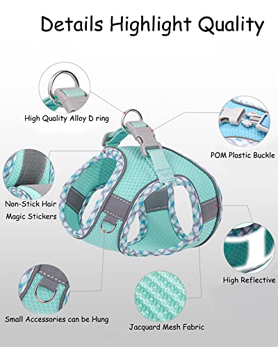 Petank Dog Harness for Small Medium Dogs No Pull, Puppy Harness and Leash Set, Step in Dog Harness for Walking, Running, T...