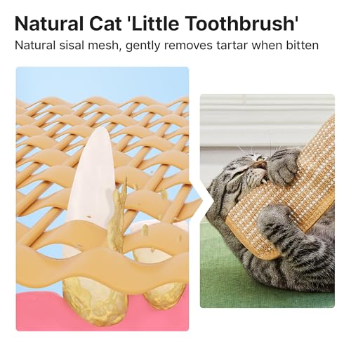 Potaroma Cat Toys Pack of 2 with 6000mg A+ Organic Catnip, Soft Sisal Material Indoor Kitten Scratching and Kicker Toys, D...