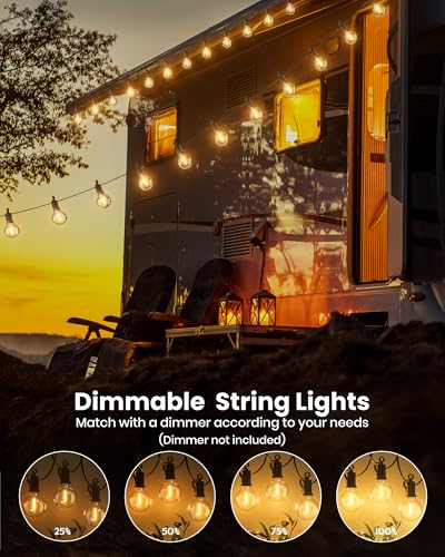 Brightown Outdoor String Lights 29 Feet G40 LED Patio Lights, Plug-in, 13 Plastic Edison Bulbs(1 Spare), Waterproof Connec...