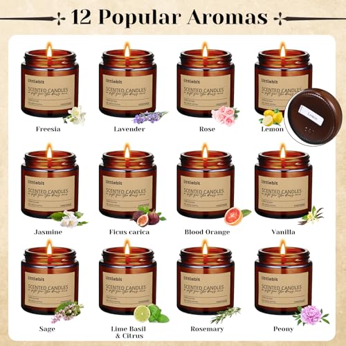 MTLEE 12 Pack Scented Candles for Home, Candles Gift Set Long Lasting Soy Candle Aromatherapy Jar Candle Bulk for Women Me...