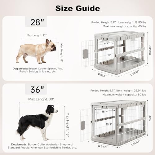 ZOMISIA Collapsible Dog Crate for Dogs - 28" L Heavy Duty Dog Kennel No Tools Required with 4 Sides Steel Foldable Cage fo...