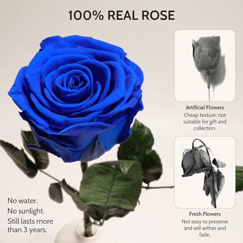 Yamonic Birthday Flowers Gifts for Women, Real Rose with Heart Necklace Gifts for Mom Grandma, Preserved Flowers Rose with...
