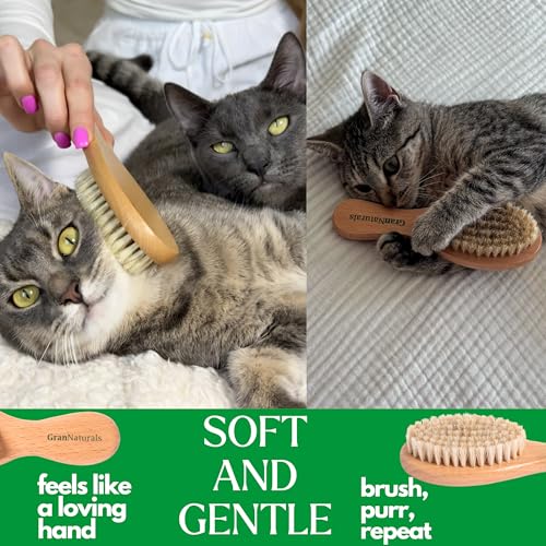 GranNaturals Boar Bristle Soft Cat Brush for Indoor, Outdoor, Short Haired Cats, Kittens, Small Dog, Rabbit, Furry Pets - ...