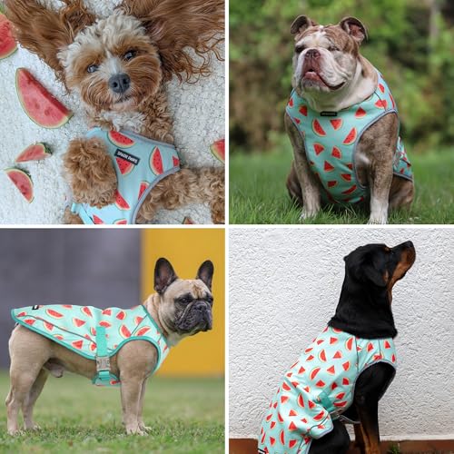 Spark Paws Dog Cooling Vest - SPF 50 UV Sun Protection - Summer Heat Relief Gear for Dogs, Lightweight, Evaporative Coolin...