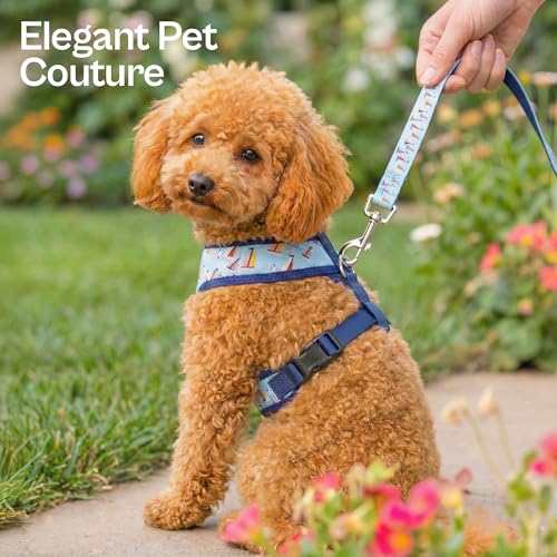 Parisian Pet Sailboat Dog Harness - Breathable No Pull Puppy Harness with Leash Ring - Adjustable Harnesses for Dogs - Sof...