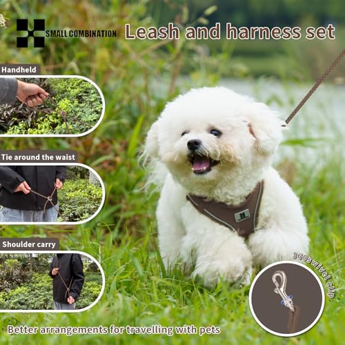 SMALL COMBINATION Adjustable Dog Harness with Leash, Reflective Mesh, No-Pull Design，Matching Lead Rope (Brown, XXXS)