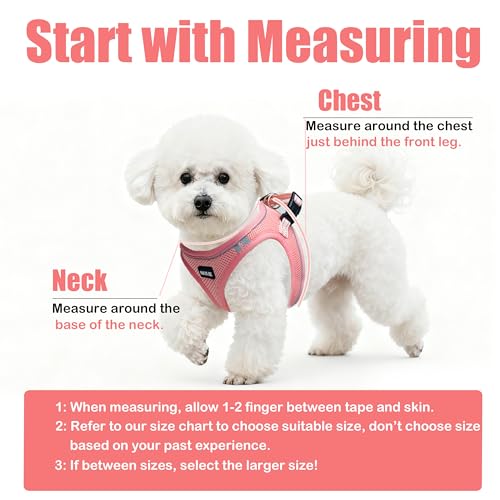 Dog Harness and Leash Set, No Pull Soft Mesh Pet Harness -in Puppy Pet Vest Harnesses for XS,Small,Medium Dogs and Cats Pi...