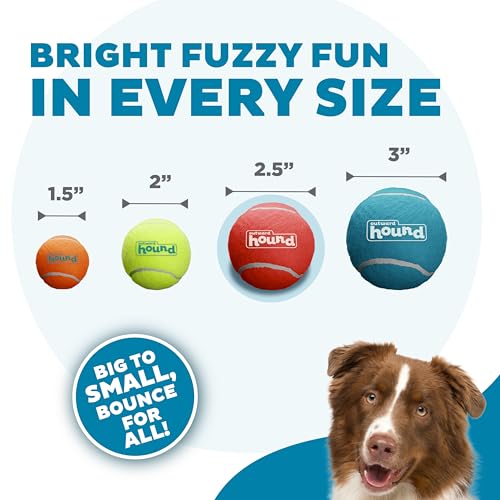 Outward Hound Squeaker Ballz – Squeaky Tennis Balls for Dogs Under 50 lbs, Interactive Dog Toy for Fetch & Training, Mediu...