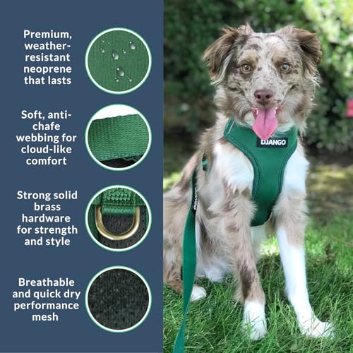 DJANGO Adventure Dog Harness - Stylish and Durable Medium Dog Harness for Outdoor Adventures and Everyday Wear - Forest Gr...