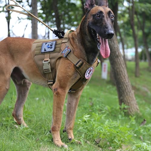 ICEFANG Tactical Dog Harness, Large Size,2X Metal Buckle,Working Dog MOLLE Vest with Handle,No Pulling Front Leash Clip,Ho...