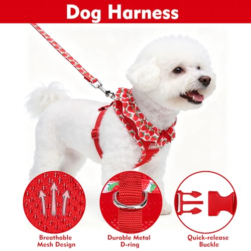 EXPAWLORER Cute Dog Harness Collar Leash Set - Red Girl Dog Harness Checkered Step-in Design, Adjustable No-Choke Lightwei...
