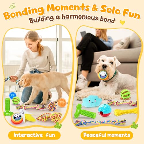 KIPRITII 25 Pack Various Dog Toys Set – Ideal for Teething, Entertainment & Interactive Play, Includes Puppy Toys, Rope To...