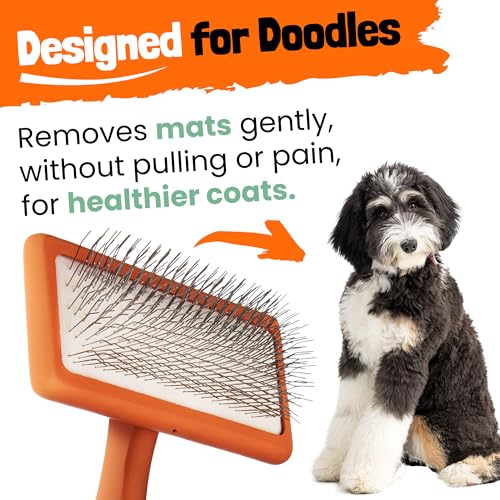 Slicker Brush for Dogs - Goldendoodle Brush with Poodle Comb and Cases Included - Goldendoodle Must Haves Grooming Tools -...