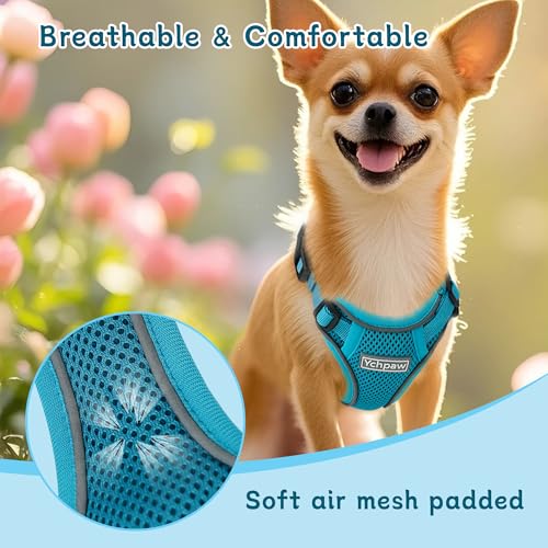 Ychpaw Small Dog Harness and Leash Set, Reflective Soft Breathable Mesh Vest, 3 Buckles, Adjustable Neck and Chest,Step in...