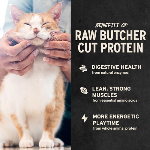 Vital Essentials Freeze Dried Cat Treats | Rabbit Bites, Single Protein | Premium Quality | Grain Free, Crunchy Cat Treat...