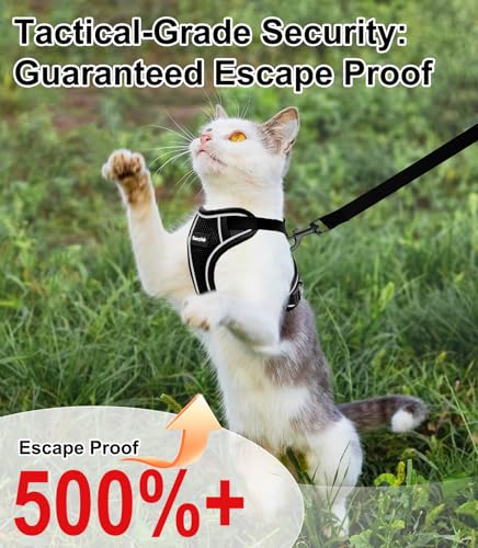 Cat Harness and Leash for Walking Escape Proof Soft Adjustable Cat Leash Breathable Comfortable Vest Easy to Wear Kitten H...