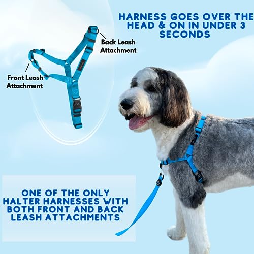 ShawnCo Dream Walk No-Pull Dog Harness- Adjustable, Comfortable, Easy to Use Pet Halter to Help Stop Pulling for Small, Me...
