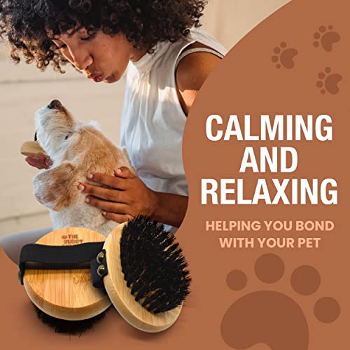 The Buddy System Pet Close Brush, Soft Touch Oval Palm Brush - Bamboo Massage Handheld with Soft Boar Bristles and Elastic...