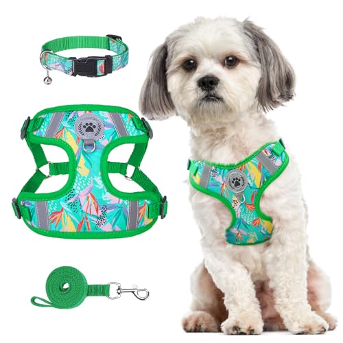 BEAUTYZOO Step in Dog Harness Collar and Leash Set for Small Medium Large Dogs, No Pull No Choke Puppy Harness, Soft Mesh ...
