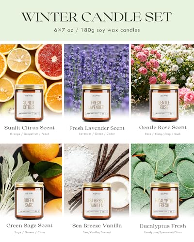 AOOVOO Candles Set - 6PC Scented Candles, Soy Candle, Aromatherapy Candle, Soy Wax Candle, Candle for Home Scented, Lavend...