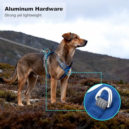 ApakBak No Pull Dog Harness – Adjustable Reflective Nylon Vest for Small Medium Large Dogs, Escape Proof Training Harness ...