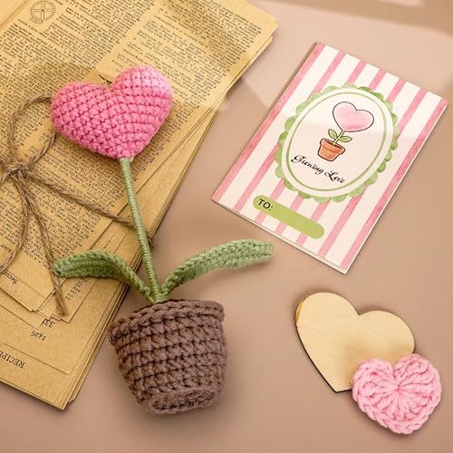 Mayvoro Handmade Crochet Heart Flower in Pot | Gifts for Mom, Mother Day Mom Gifts for Him Her, Valentines Day Card, Roman...