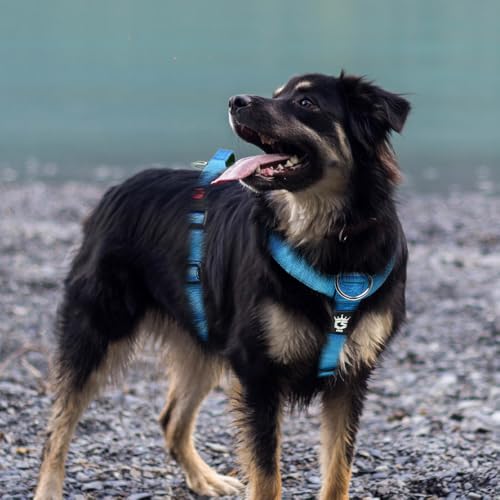 TSPRO Premium Heavy Duty Tactical Dog Harness, No Pull with Padded Control Handle & Quick-Release Buckles, Adjustable Vest...