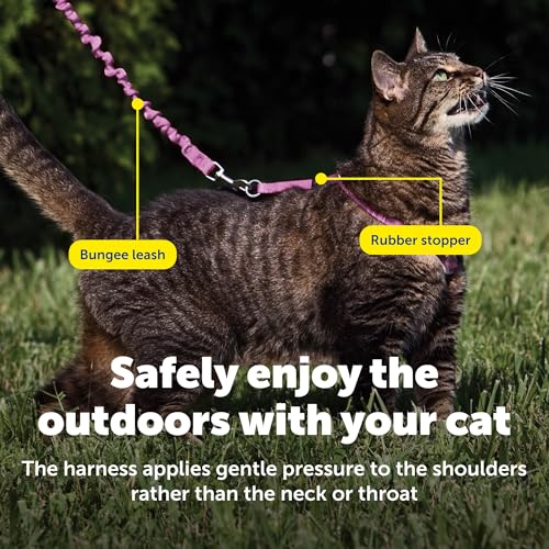 PetSafe Come with Me Kitty Harness and Bungee Leash Adjustable, Lightweight Harness for Cats Large, Dusty Rose