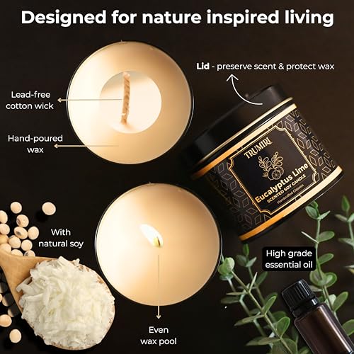 Eucalyptus Candle with Lime Strong Scented Soy Candel Natural Non Toxic Velas Aromáticas for Home Gift for Fall Christmas ...