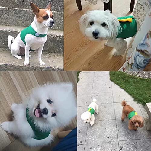 MQQYLBHDS Dinosaur Shaped Puppy Dog Harness and Leash Set Green Cat Vest Harness with Walking Rope No Pull Comfort Pet Ves...